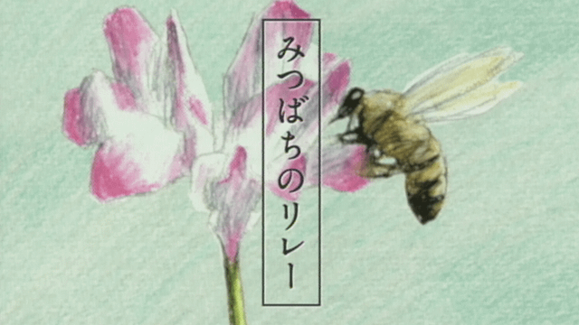 みつばちのリレー・木を植える