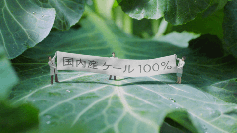 正直品質　青汁