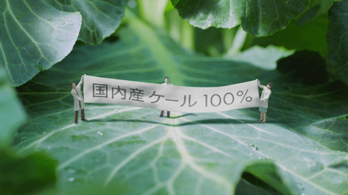 正直品質　青汁