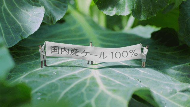 正直品質　青汁