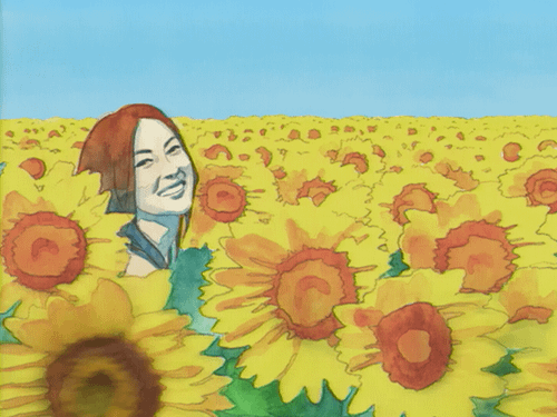 ひまわり畑でつかまえて