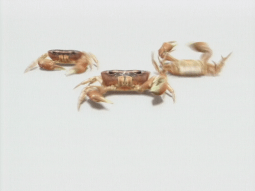 カニ
