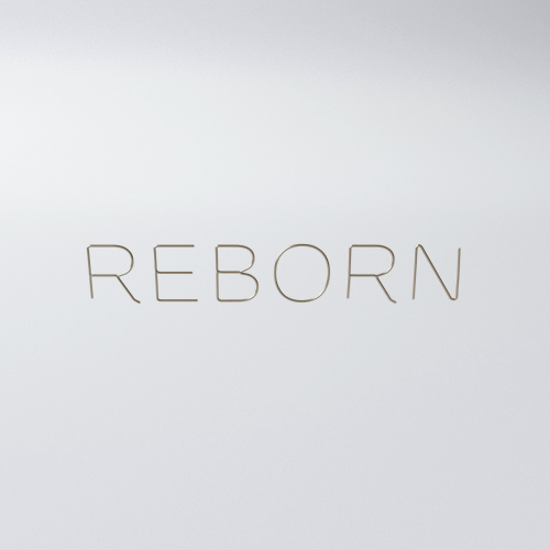 オリジナル作品　REBORN