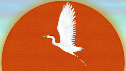 Tokyo 2020 Olympic