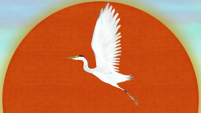 Tokyo 2020 Olympic