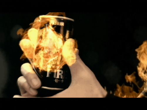 FIRE 原種豆