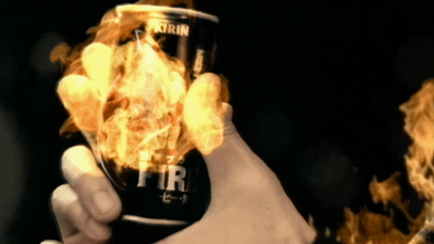 FIRE 原種豆