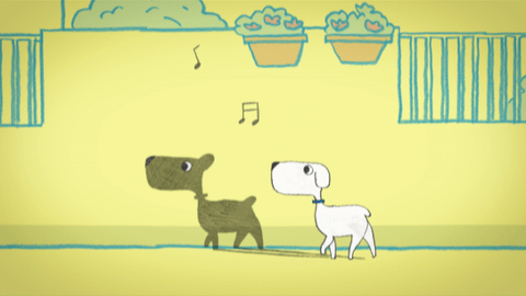 シロとクロ