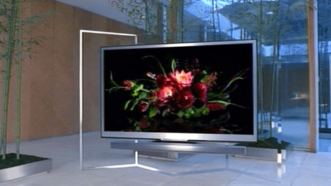 SHARP AQUOS 花